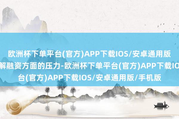 欧洲杯下单平台(官方)APP下载IOS/安卓通用版/手机版或者匡助其缓解融资方面的压力-欧洲杯下单平台(官方)APP下载IOS/安卓通用版/手机版