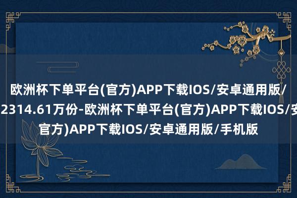 欧洲杯下单平台(官方)APP下载IOS/安卓通用版/手机版最新份额为2314.61万份-欧洲杯下单平台(官方)APP下载IOS/安卓通用版/手机版