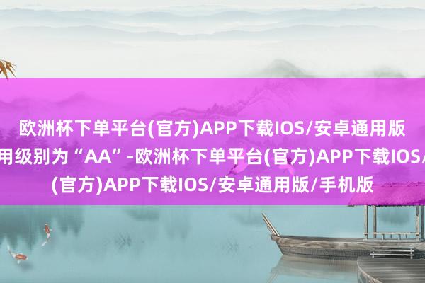 欧洲杯下单平台(官方)APP下载IOS/安卓通用版/手机版奇正转债信用级别为“AA”-欧洲杯下单平台(官方)APP下载IOS/安卓通用版/手机版