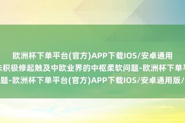 欧洲杯下单平台(官方)APP下载IOS/安卓通用版/手机版但欧方长期未积极修起触及中欧业界的中枢柔软问题-欧洲杯下单平台(官方)APP下载IOS/安卓通用版/手机版