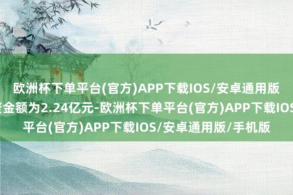 欧洲杯下单平台(官方)APP下载IOS/安卓通用版/手机版本次内容增资金额为2.24亿元-欧洲杯下单平台(官方)APP下载IOS/安卓通用版/手机版