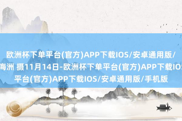 欧洲杯下单平台(官方)APP下载IOS/安卓通用版/手机版新华社记者 王海洲 摄11月14日-欧洲杯下单平台(官方)APP下载IOS/安卓通用版/手机版