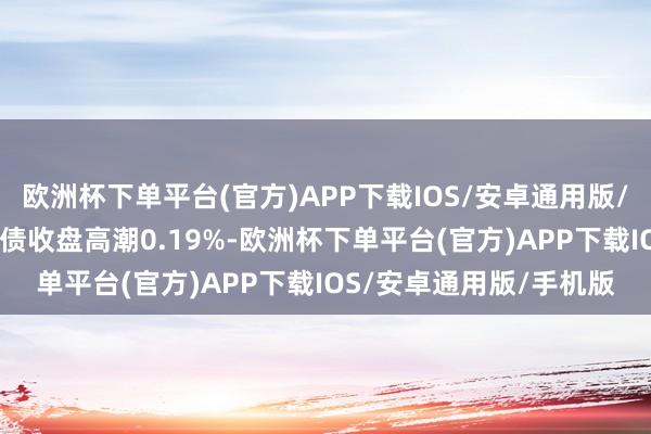 欧洲杯下单平台(官方)APP下载IOS/安卓通用版/手机版12月2日洽洽转债收盘高潮0.19%-欧洲杯下单平台(官方)APP下载IOS/安卓通用版/手机版