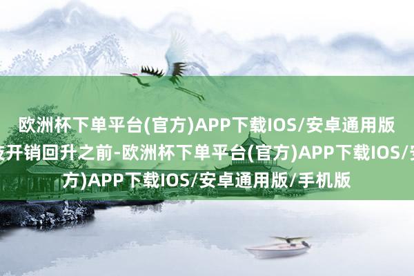 欧洲杯下单平台(官方)APP下载IOS/安卓通用版/手机版在资讯科技开销回升之前-欧洲杯下单平台(官方)APP下载IOS/安卓通用版/手机版