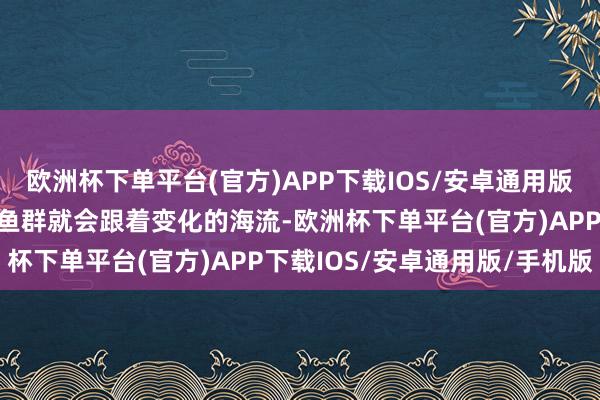 欧洲杯下单平台(官方)APP下载IOS/安卓通用版/手机版一批又一批的鲱鱼群就会跟着变化的海流-欧洲杯下单平台(官方)APP下载IOS/安卓通用版/手机版