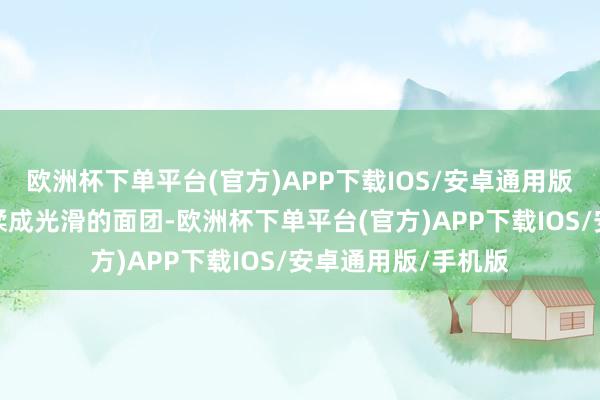 欧洲杯下单平台(官方)APP下载IOS/安卓通用版/手机版不错用手揉成光滑的面团-欧洲杯下单平台(官方)APP下载IOS/安卓通用版/手机版