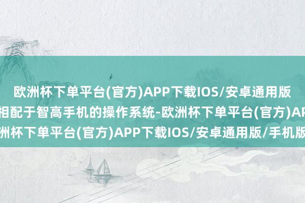 欧洲杯下单平台(官方)APP下载IOS/安卓通用版/手机版“若是说大模子相配于智高手机的操作系统-欧洲杯下单平台(官方)APP下载IOS/安卓通用版/手机版