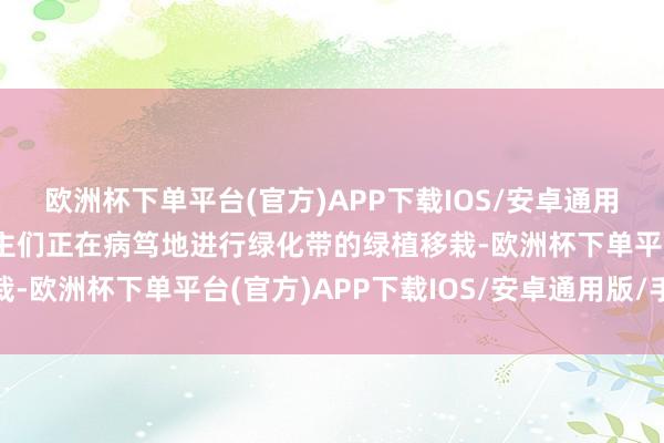 欧洲杯下单平台(官方)APP下载IOS/安卓通用版/手机版园林工东谈主们正在病笃地进行绿化带的绿植移栽-欧洲杯下单平台(官方)APP下载IOS/安卓通用版/手机版