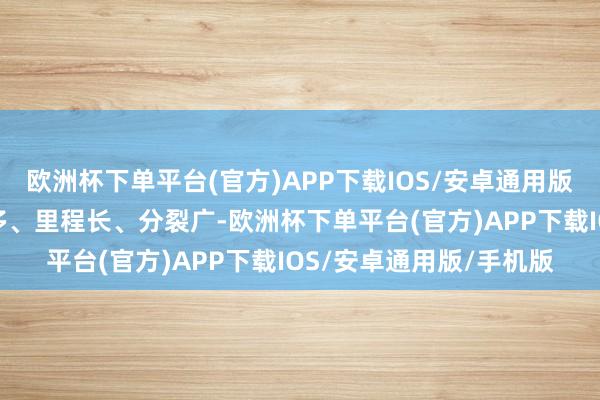 欧洲杯下单平台(官方)APP下载IOS/安卓通用版/手机版由于河流数目多、里程长、分裂广-欧洲杯下单平台(官方)APP下载IOS/安卓通用版/手机版