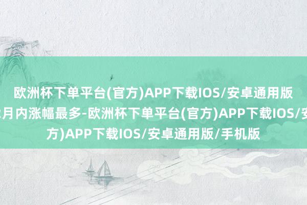 欧洲杯下单平台(官方)APP下载IOS/安卓通用版/手机版波澜信息2月内涨幅最多-欧洲杯下单平台(官方)APP下载I